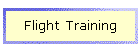 Flight Training