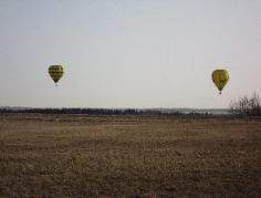 Out flyin' Old Yeller with my buddy